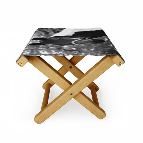 Allyson Johnson Horse Portrait Folding Stool