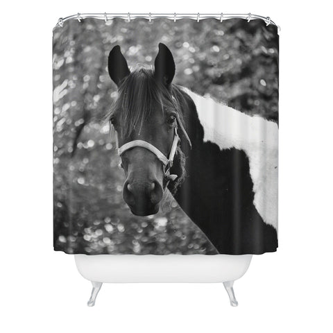Allyson Johnson Horse Portrait Shower Curtain