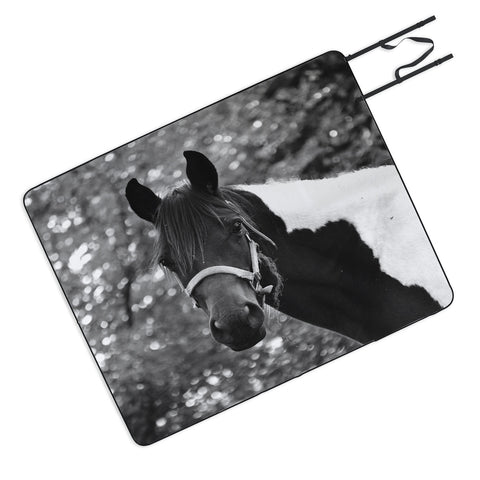 Allyson Johnson Horse Portrait Picnic Blanket