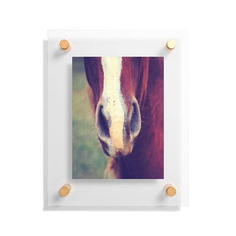 Allyson Johnson Horse Sense 1 Floating Acrylic Print