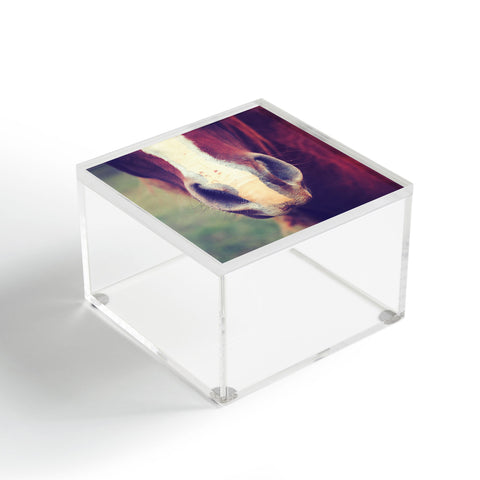 Allyson Johnson Horse Sense 1 Acrylic Box