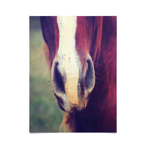 Allyson Johnson Horse Sense 1 Poster