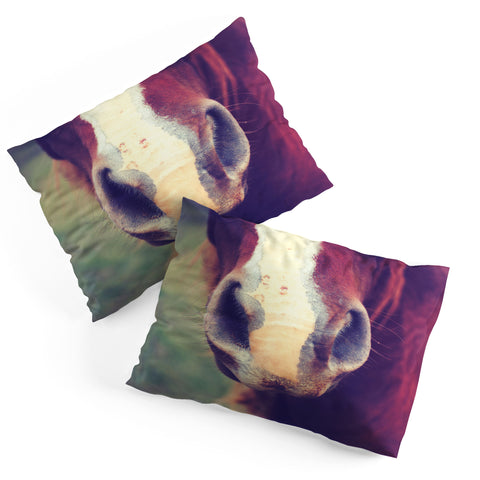 Allyson Johnson Horse Sense 1 Pillow Shams