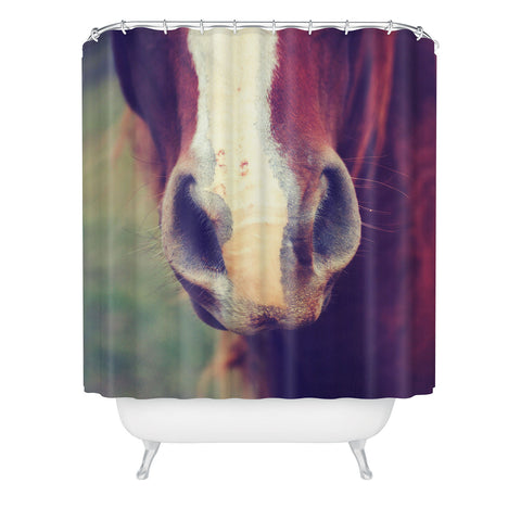 Allyson Johnson Horse Sense 1 Shower Curtain