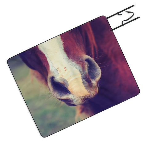 Allyson Johnson Horse Sense 1 Picnic Blanket