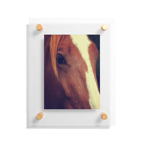 Allyson Johnson Horse Sense 2 Floating Acrylic Print