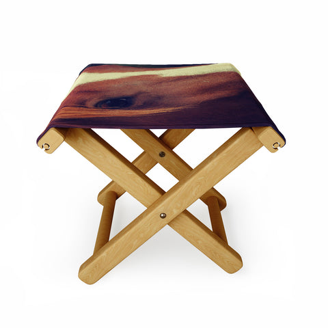 Allyson Johnson Horse Sense 2 Folding Stool