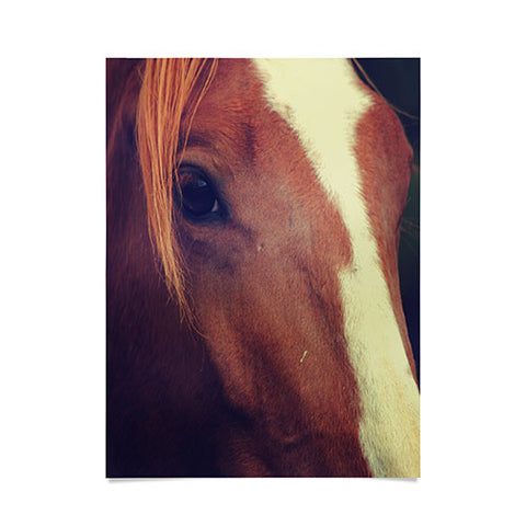 Allyson Johnson Horse Sense 2 Poster