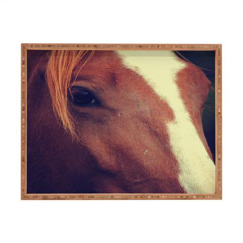 Allyson Johnson Horse Sense 2 Rectangular Tray