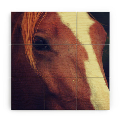 Allyson Johnson Horse Sense 2 Wood Wall Mural