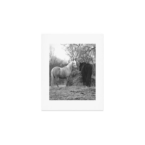 Allyson Johnson Horses Grazing Art Print