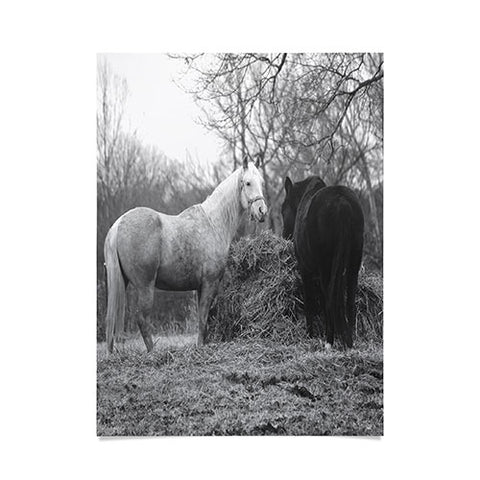 Allyson Johnson Horses Grazing Poster
