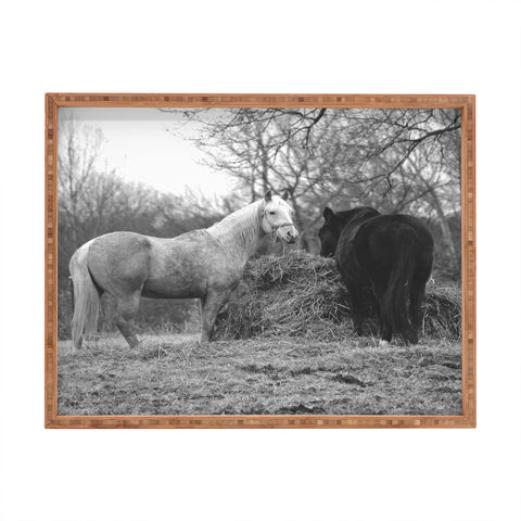 Allyson Johnson Horses Grazing Rectangular Tray