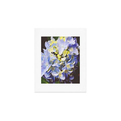 Allyson Johnson Hydrangea Flower Art Print