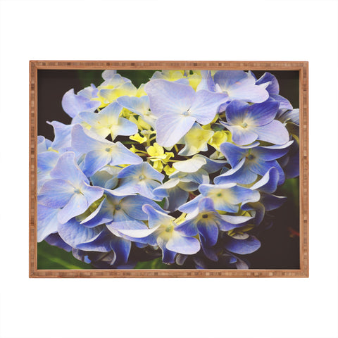 Allyson Johnson Hydrangea Flower Rectangular Tray