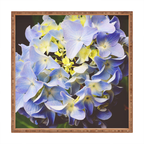Allyson Johnson Hydrangea Flower Square Tray