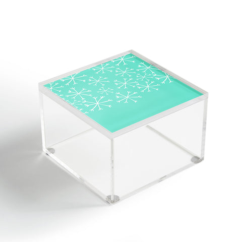 Allyson Johnson Its snowing Acrylic Box
