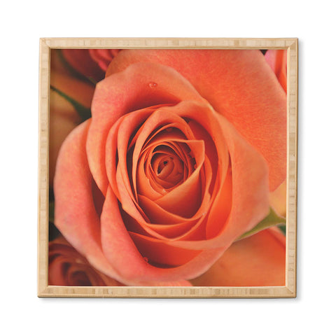 Allyson Johnson Orange Rose Bud Framed Wall Art