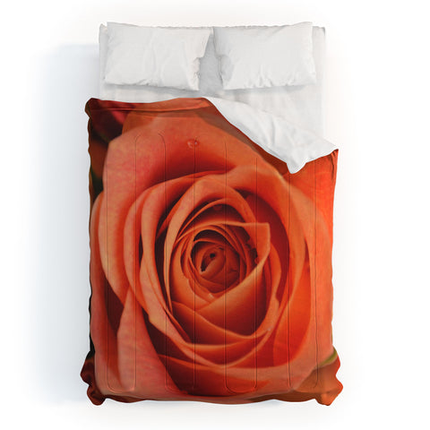 Allyson Johnson Orange Rose Bud Comforter