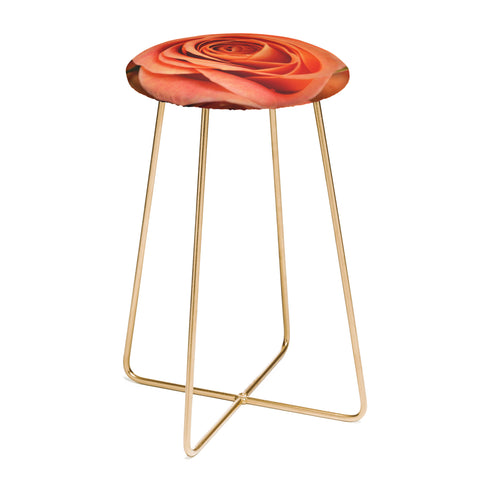 Allyson Johnson Orange Rose Bud Counter Stool