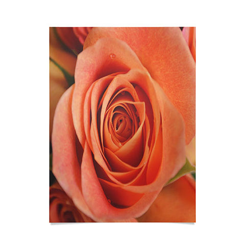 Allyson Johnson Orange Rose Bud Poster