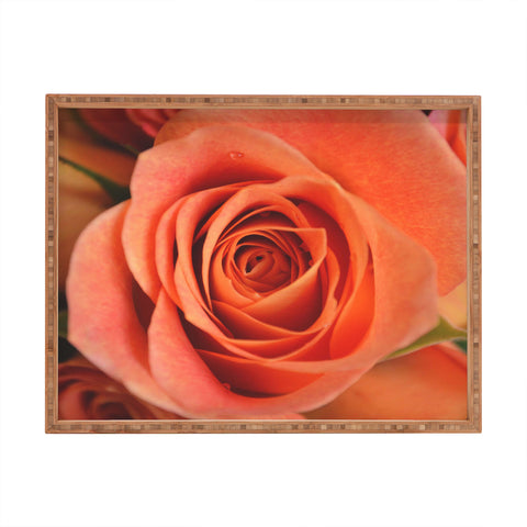 Allyson Johnson Orange Rose Bud Rectangular Tray