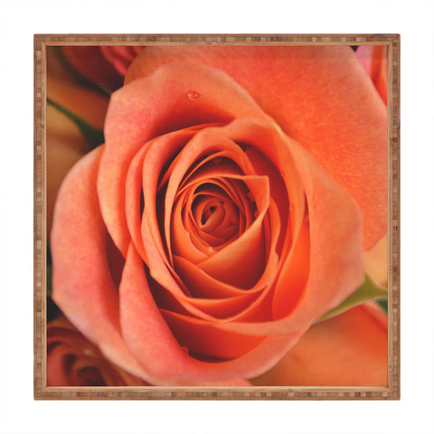 Allyson Johnson Orange Rose Bud Square Tray