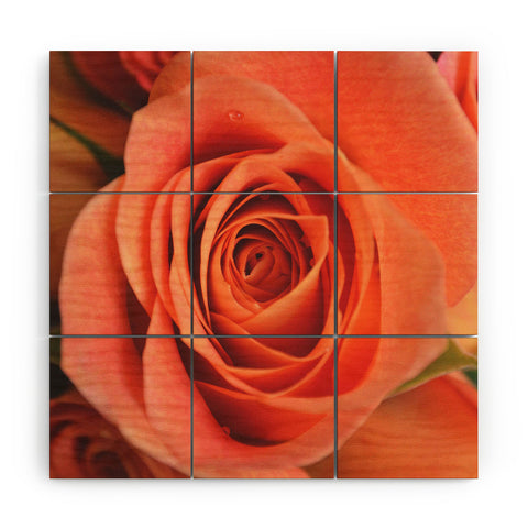 Allyson Johnson Orange Rose Bud Wood Wall Mural