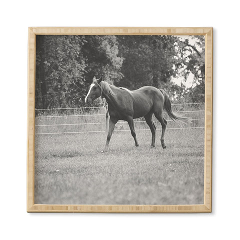 Allyson Johnson Out In The Pasture Framed Wall Art