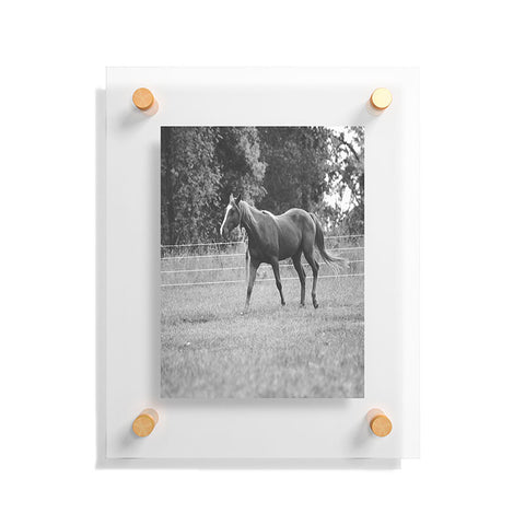 Allyson Johnson Out In The Pasture Floating Acrylic Print