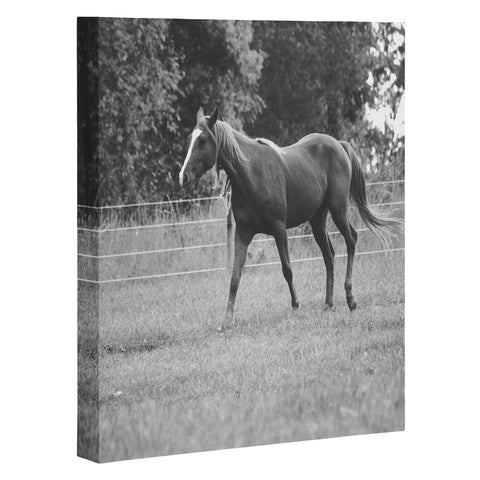 Allyson Johnson Out In The Pasture Art Canvas