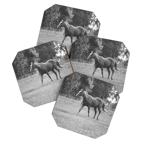 Allyson Johnson Out In The Pasture Coaster Set