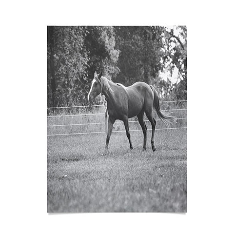 Allyson Johnson Out In The Pasture Poster