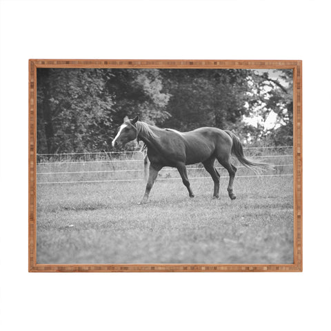 Allyson Johnson Out In The Pasture Rectangular Tray