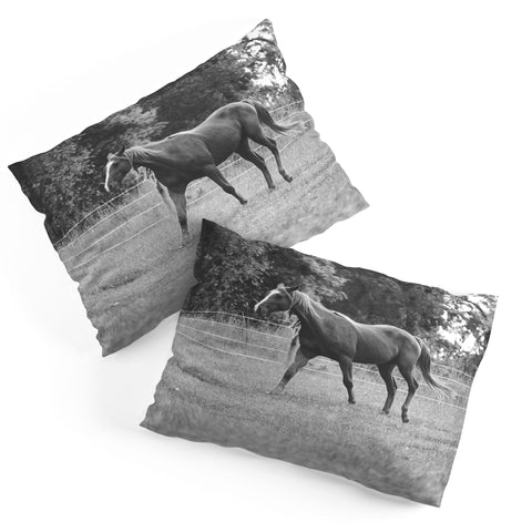 Allyson Johnson Out In The Pasture Pillow Shams