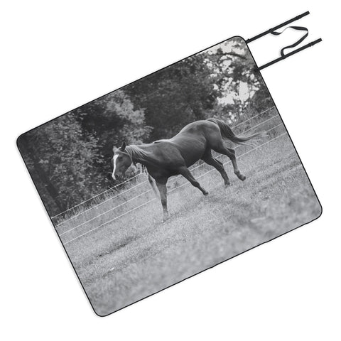 Allyson Johnson Out In The Pasture Picnic Blanket