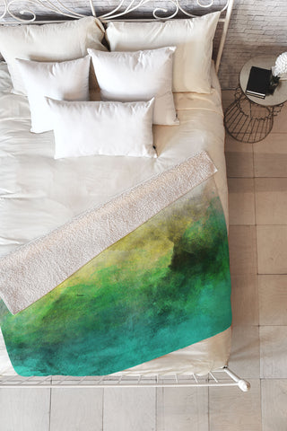 Allyson Johnson Peacock Ombre Fleece Throw Blanket