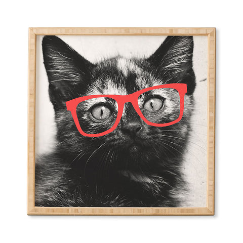 Allyson Johnson Sassy Kitten Framed Wall Art