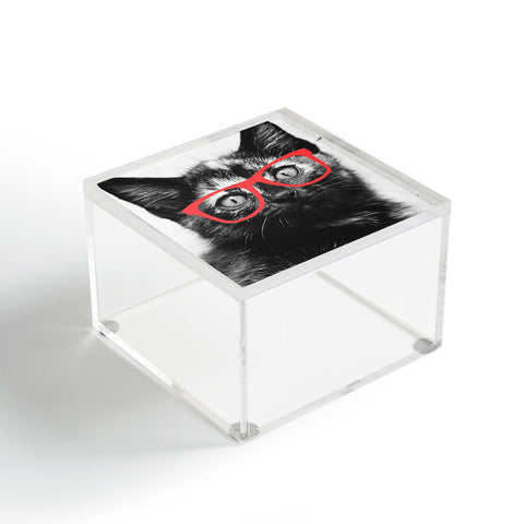 Allyson Johnson Sassy Kitten Acrylic Box