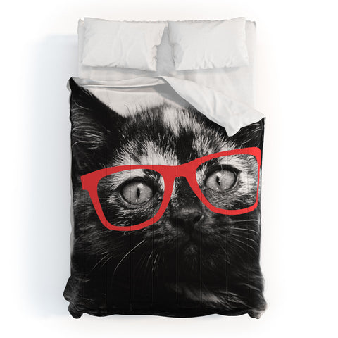 Allyson Johnson Sassy Kitten Comforter
