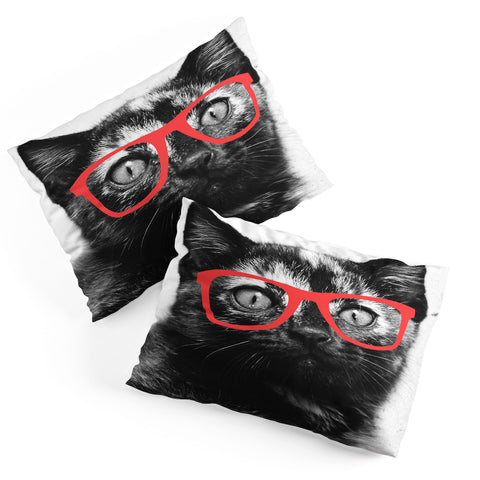 Allyson Johnson Sassy Kitten Pillow Shams