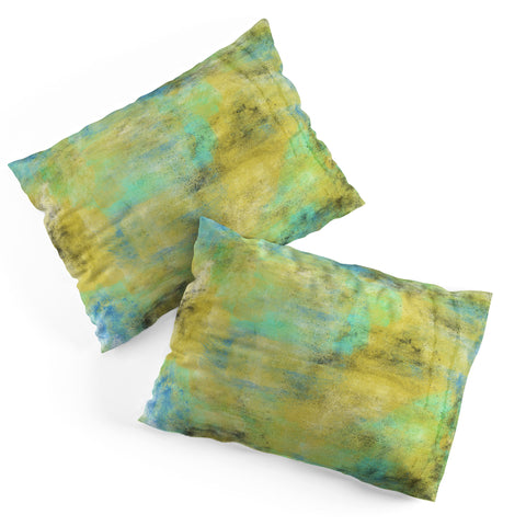 Allyson Johnson Yellow Paint Pillow Shams