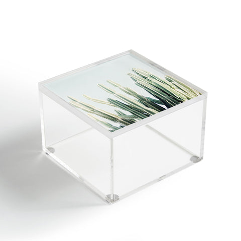 almostmakesperfect desert 2 Acrylic Box
