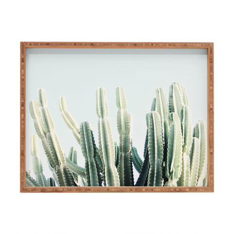 almostmakesperfect desert 2 Rectangular Tray