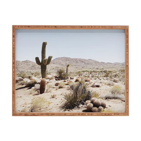 almostmakesperfect joshua tree 2 Rectangular Tray