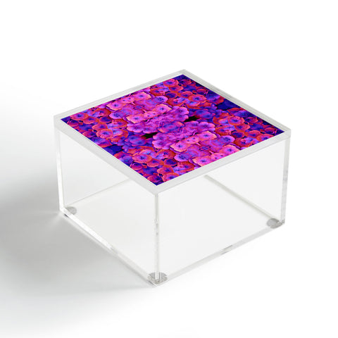 Amy Sia Future 1 Acrylic Box