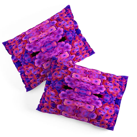 Amy Sia Future 1 Pillow Shams