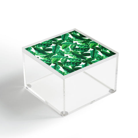 Amy Sia Palm Green Acrylic Box
