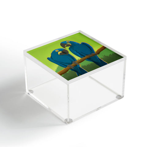 Anderson Design Group Blue Maccaw Parrots Acrylic Box