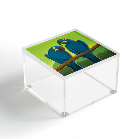 Anderson Design Group Blue Maccaw Parrots Acrylic Box